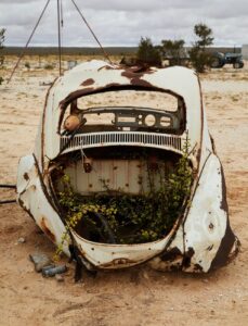 Plants growing in a broken car