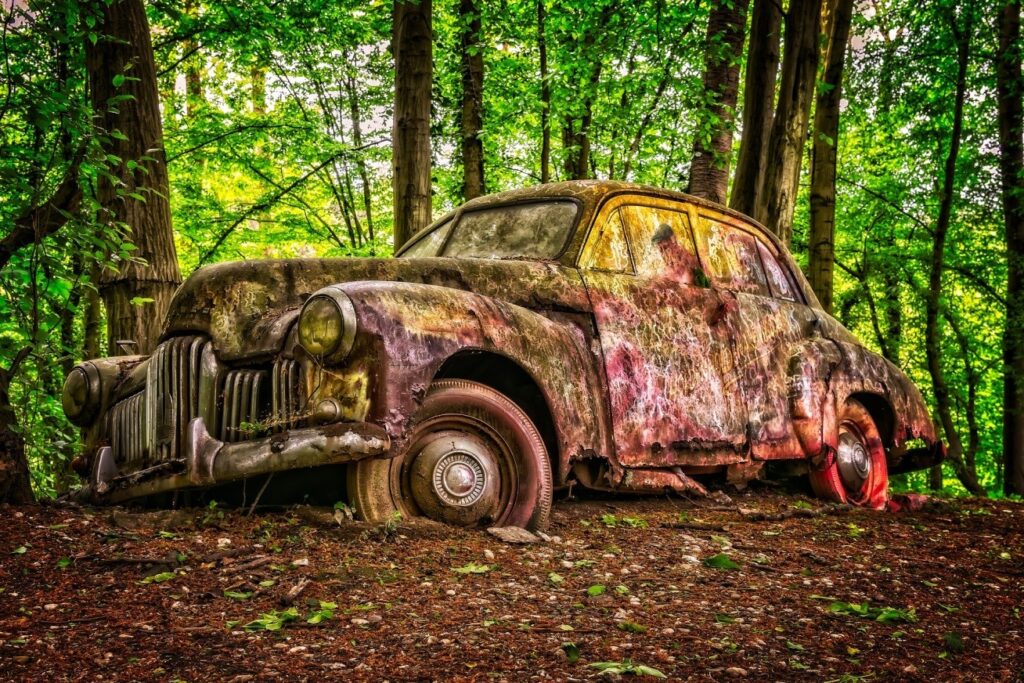 rusted car in the woods