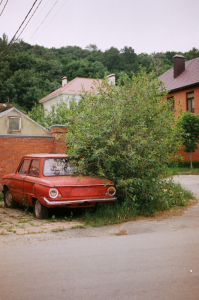 an old car parked behind a tree