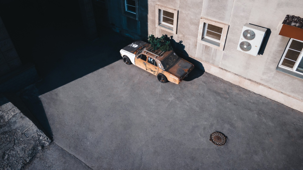 Top view of a junked car with plants on top