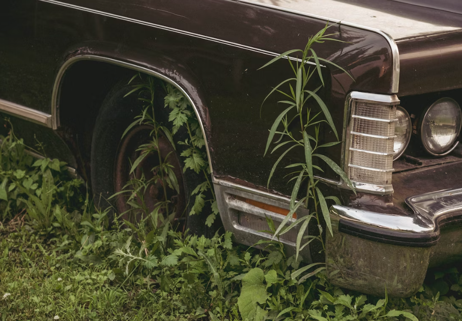 Old car parked in a field.