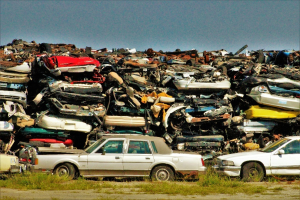 Cars in a salvage yard