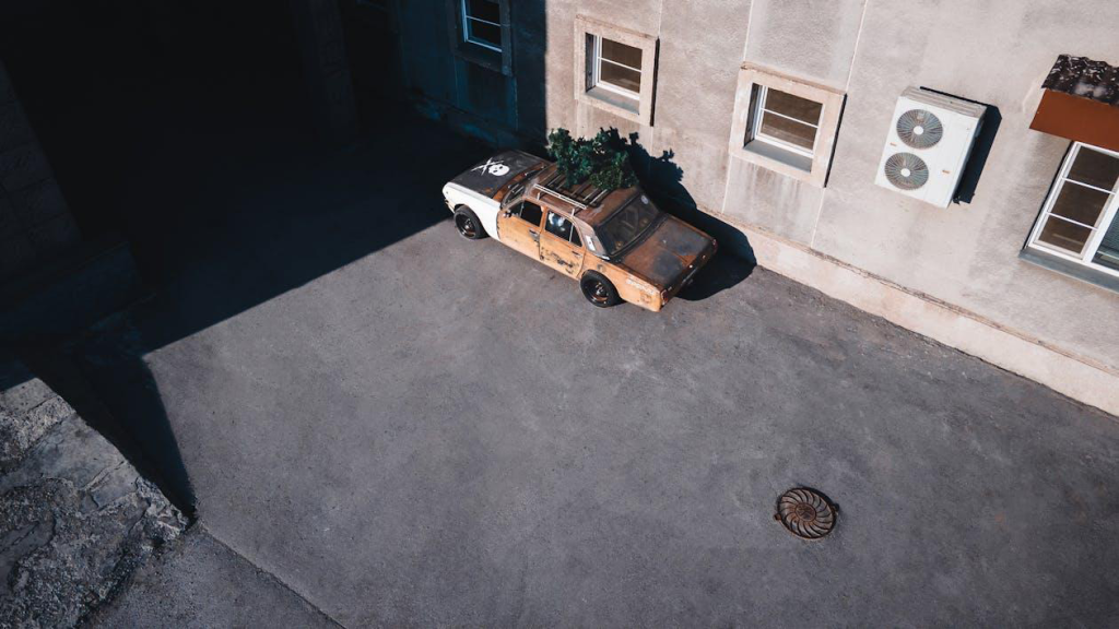 A junked car overtaken by plants.